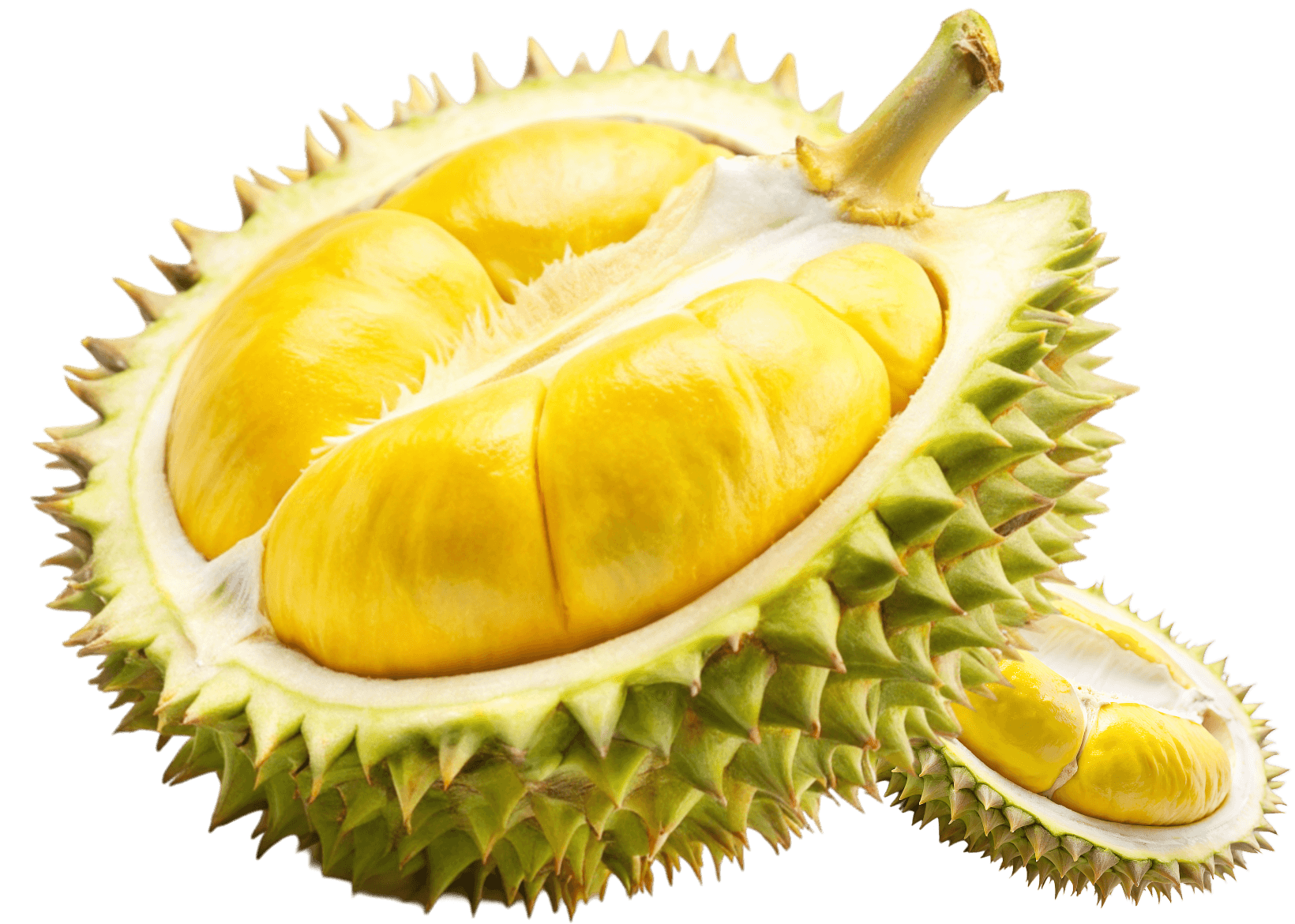 Durian